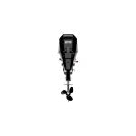 Mercury F 25 ELPT EFI 4-stroke outboard motor