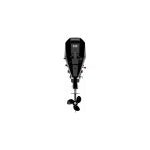Mercury F 10 EL EFI 4-stroke outboard motor